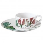 Чайная чашка Avarua Villeroy & Boch