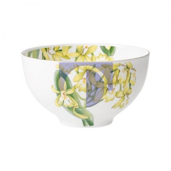 Бульонная чашка 13 см Amazonia Villeroy & Boch