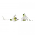 Декоративное украшение Подснежники набор из 2 шт. Mini Flower Bells Villeroy & Boch Декоративное украшение Подснежники набор из 2 шт. Mini Flower Bells Villeroy & Boch